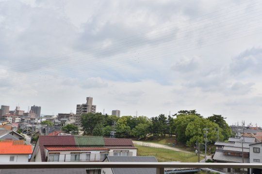 DSC_0109_00089