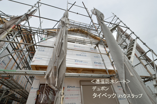 DSC_0019_00019のコピー