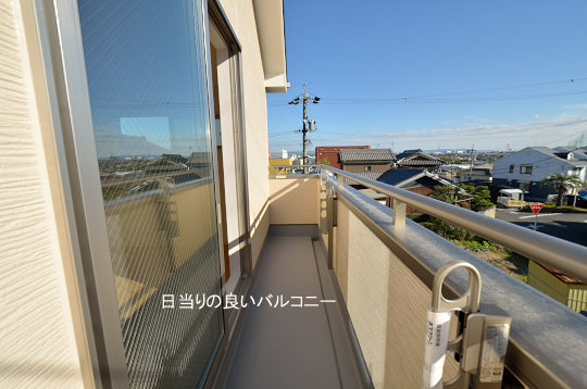 DSC_0298_00029のコピー
