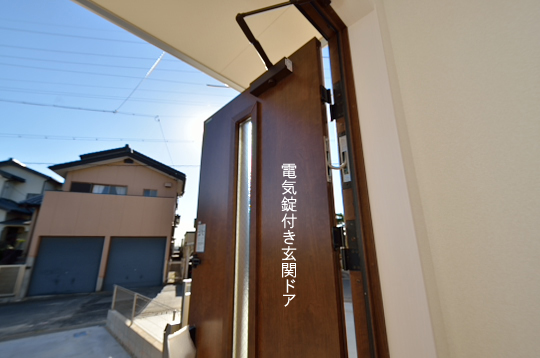 DSC_0312_00043のコピー