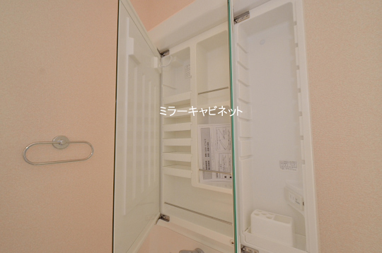 DSC_0249_00087のコピー