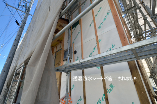 DSC_0231_00009のコピー