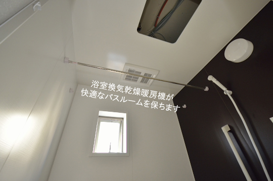 _DSC0088_00043のコピー