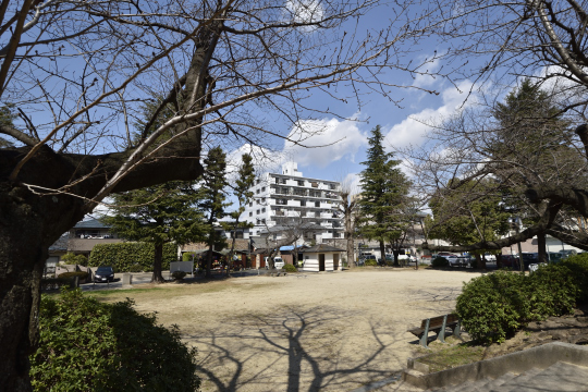 寿公園から眺めたエスポワール寿。