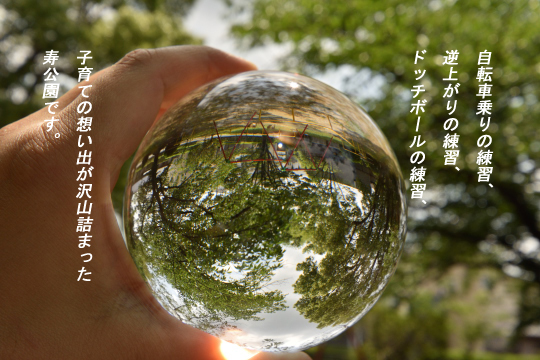 刈谷市寿公園