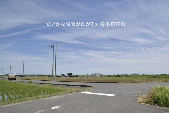 _DSC0724_00020のコピー