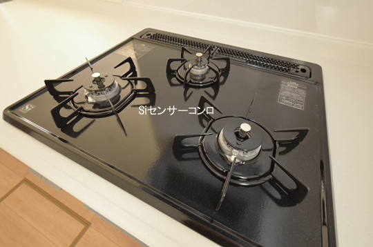 _DSC0069_00067のコピー