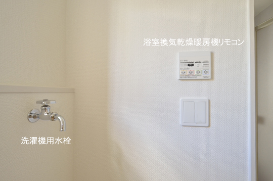 _DSC0242_00081のコピー