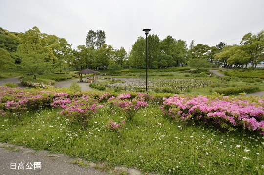 _DSC0042_00001のコピー