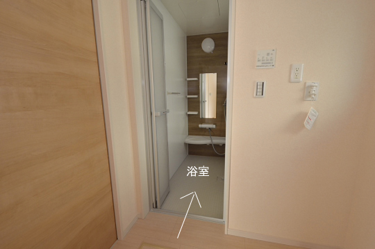 _DSC0279_00066のコピー