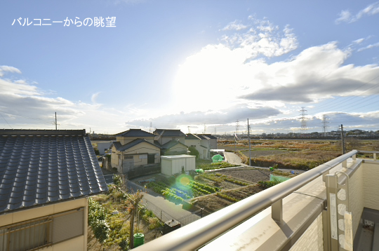 _DSC0333_00017のコピー