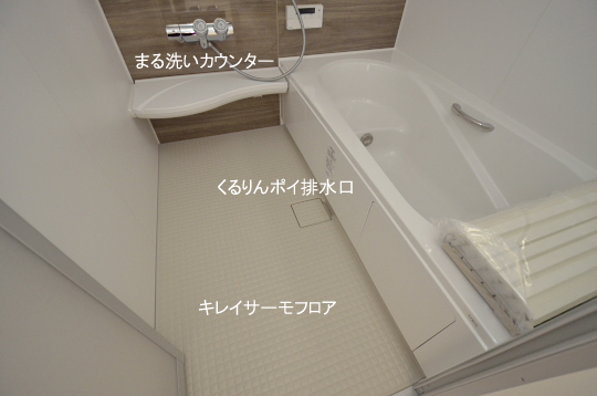_DSC0055_00055のコピー