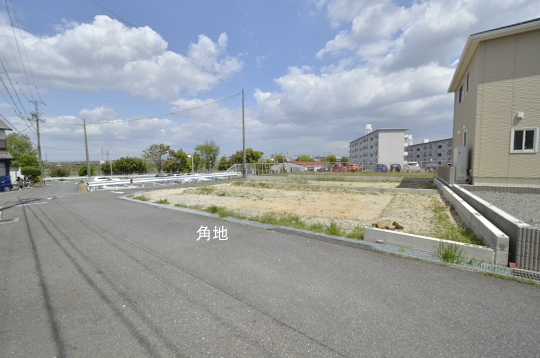 _DSC0024_00024のコピー