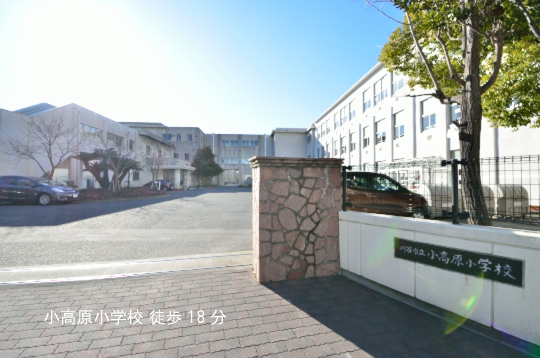 小高原小学校のコピー