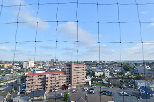 DSC_0096_00091