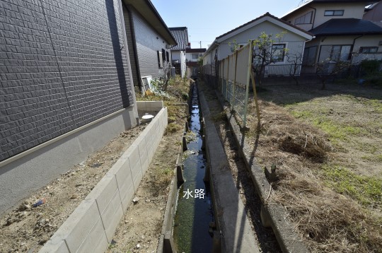 _DSC0335_00012.jpgコピー