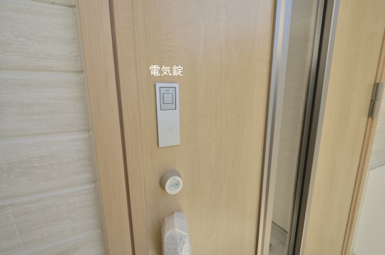 _DSC0245_00016.jpgのコピー