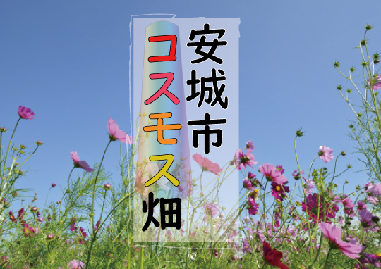 安城市コスモス畑