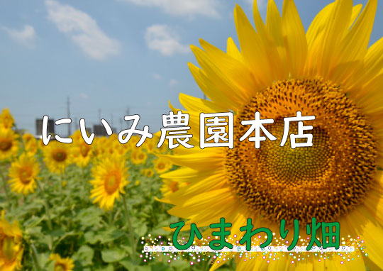 碧南市 にいみ農園