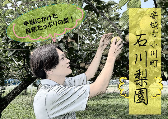安城市梨直売所　石川梨園