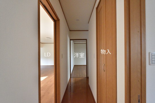 DSC_8842_00095.jpgコピー