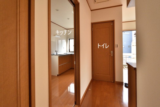 DSC_8799_00056.jpgコピー