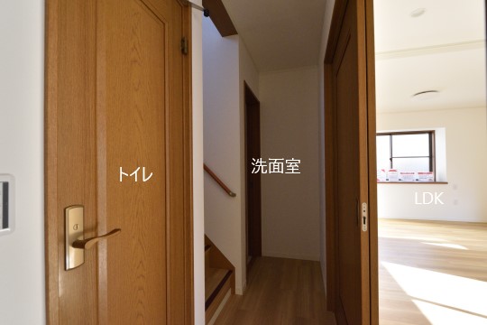 DSC_8437_00108.jpgコピー